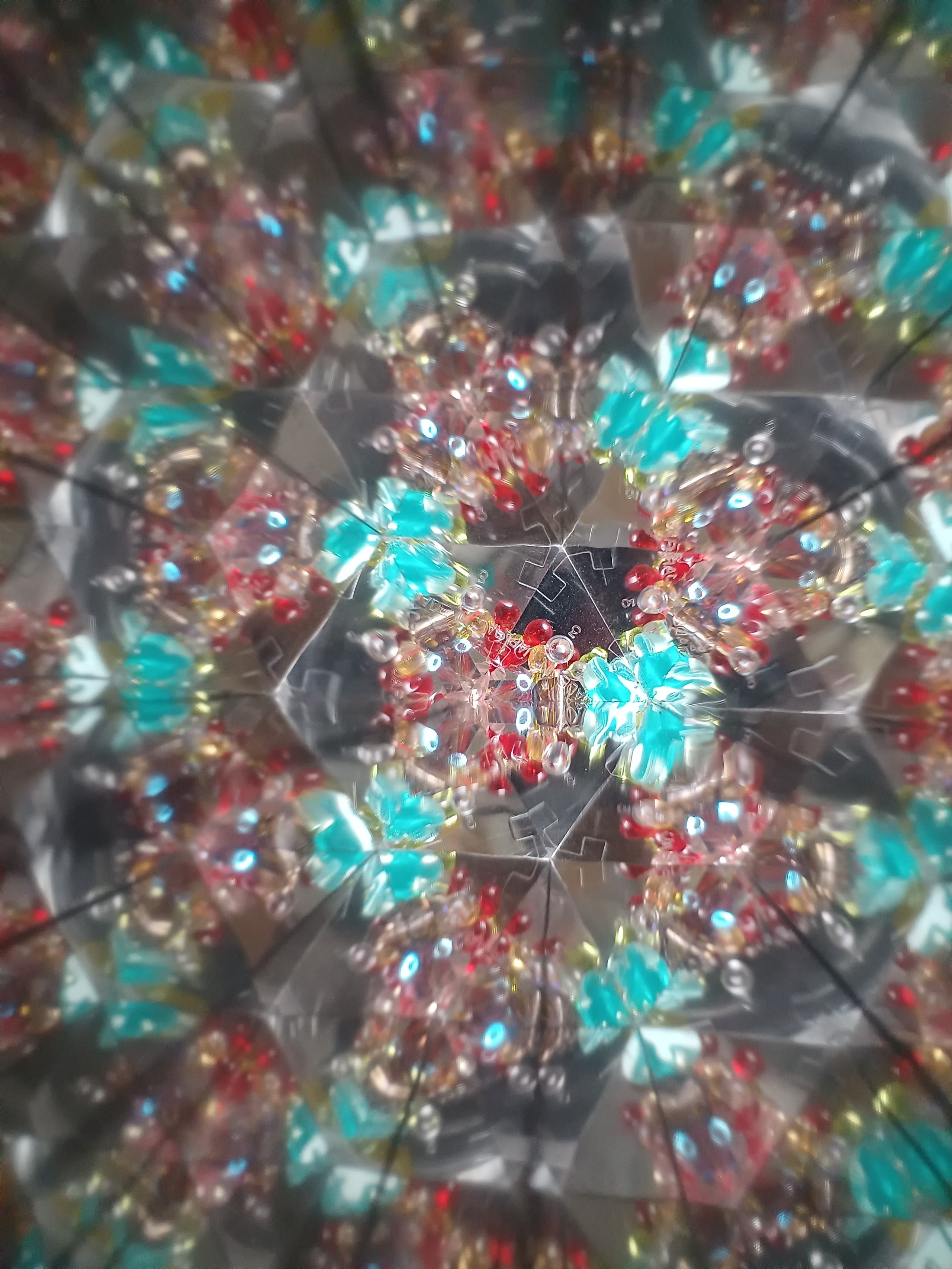 20241003_113651.jpg